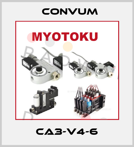 CA3-V4-6 Convum