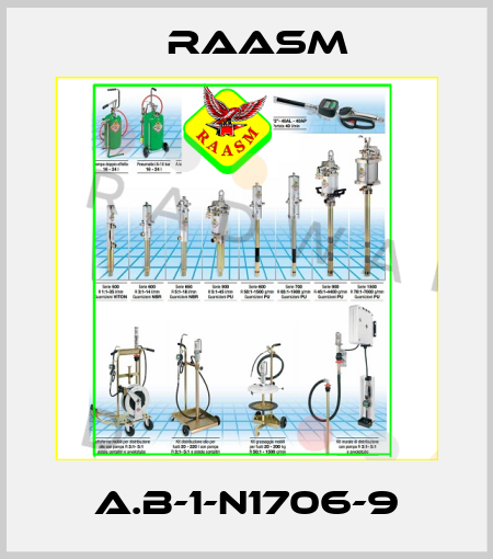 A.B-1-N1706-9 Raasm
