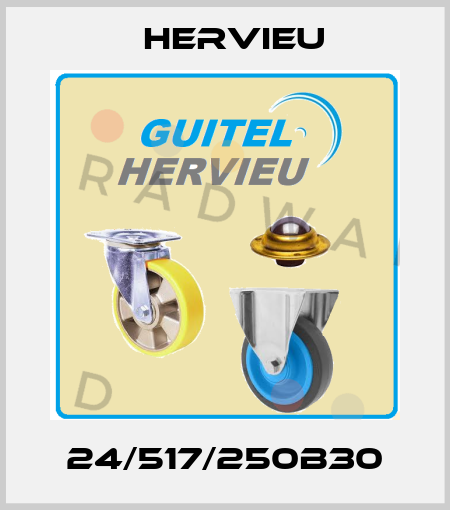 24/517/250B30 Hervieu