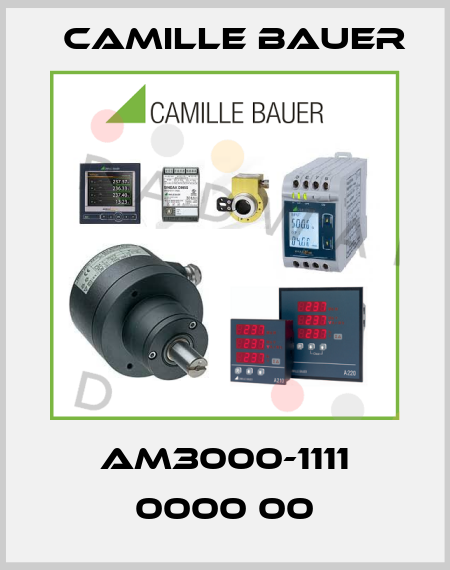 AM3000-1111 0000 00 Camille Bauer
