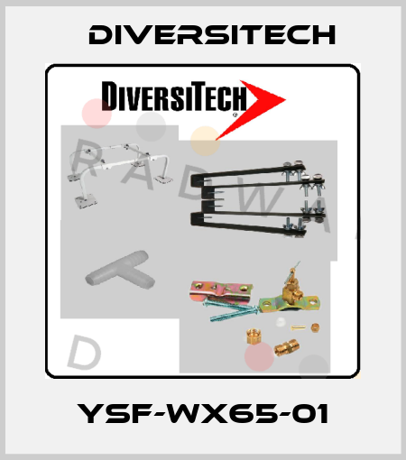 YSF-WX65-01 Diversitech