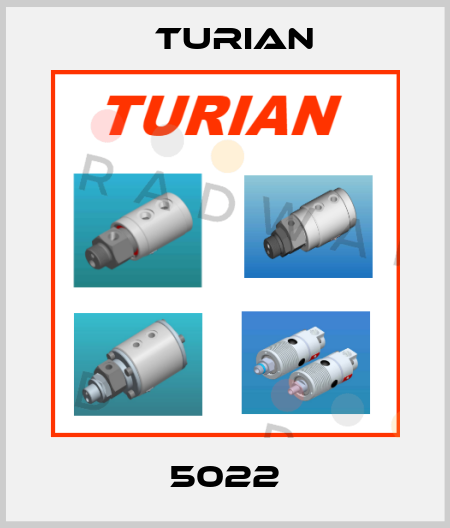 5022 Turian