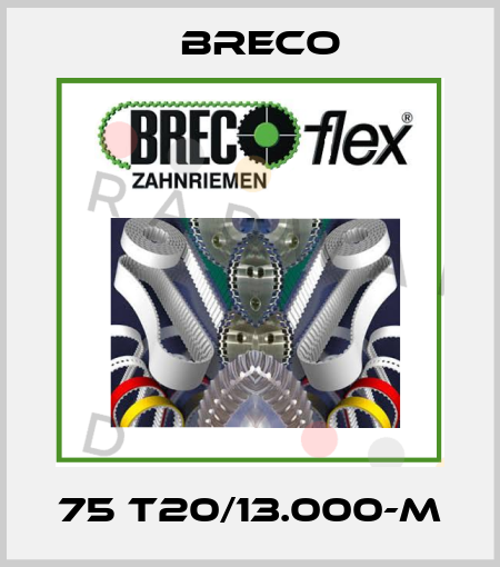 75 T20/13.000-M Breco