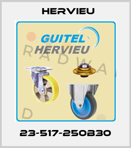 23-517-250B30 Hervieu
