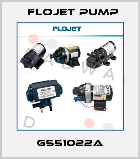 G551022A Flojet Pump