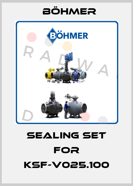 Sealing set for KSF-V025.100 Böhmer