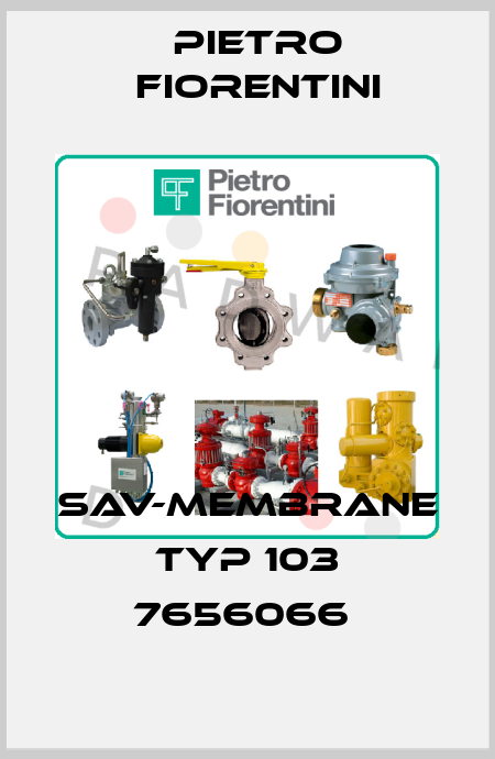 SAV-MEMBRANE TYP 103 7656066  Pietro Fiorentini