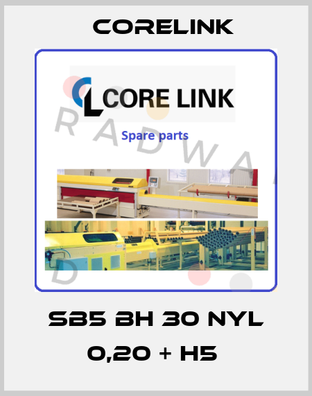 SB5 BH 30 NYL 0,20 + H5  CoreLink