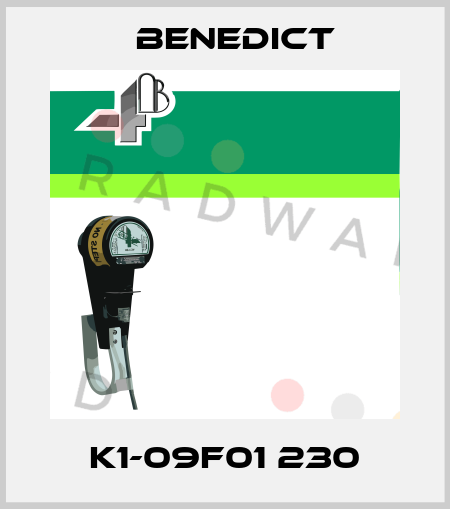 K1-09F01 230 Benedict
