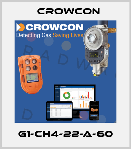 G1-CH4-22-A-60 Crowcon