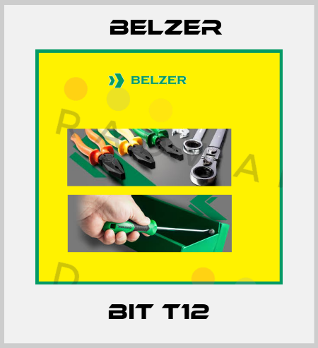 BIT T12 Belzer