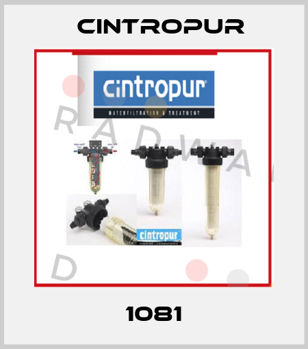 1081 Cintropur