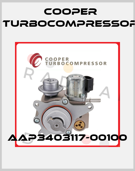 AAP3403117-00100 Cooper Turbocompressor