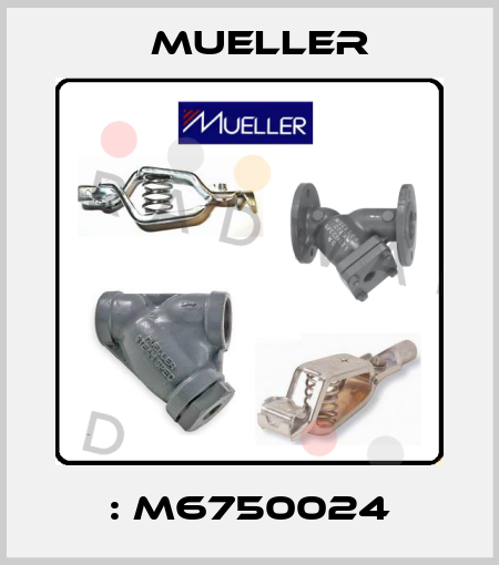 : M6750024 Mueller