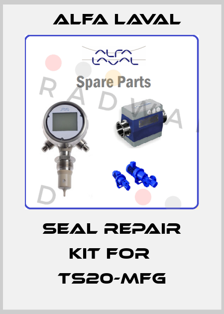 seal repair kit for  TS20-MFG Alfa Laval