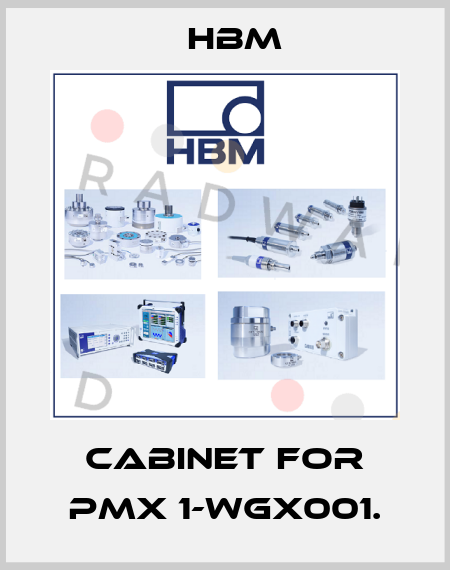 cabinet for PMX 1-WGX001. Hbm