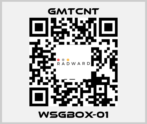 WSGBOX-01 GMTCNT