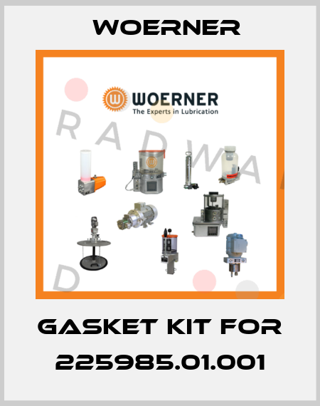 Gasket kit for 225985.01.001 Woerner