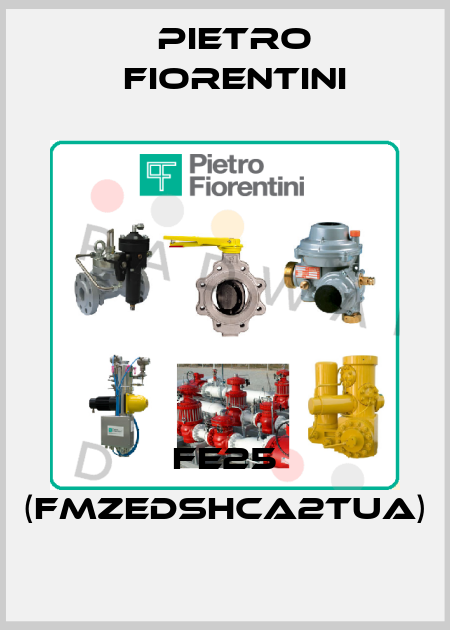 FE25 (FMZEDSHCA2TUA) Pietro Fiorentini