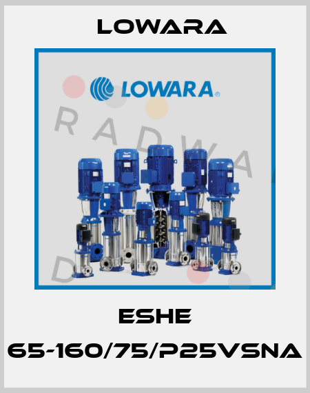 ESHE 65-160/75/P25VSNA Lowara