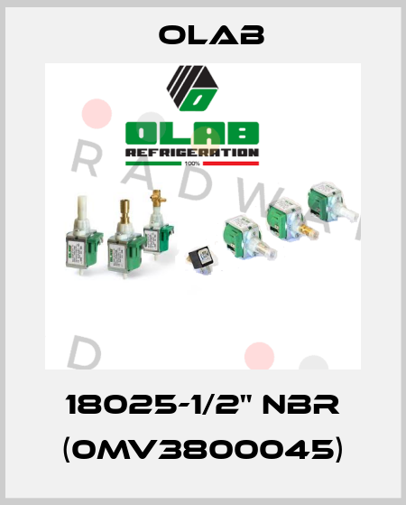 18025-1/2" NBR (0MV3800045) Olab