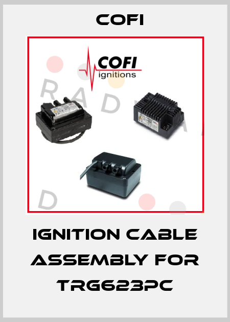 ignition cable assembly for TRG623PC Cofi