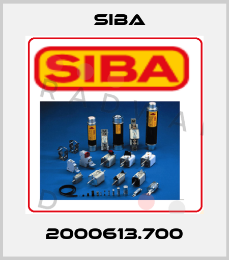 2000613.700 Siba
