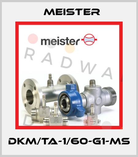 DKM/TA-1/60-G1-MS Meister