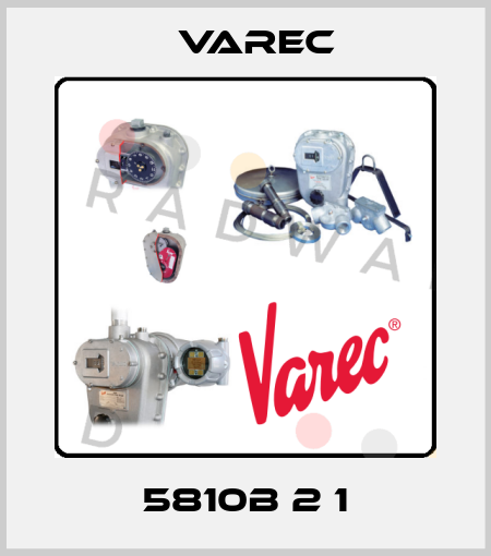  5810B 2 1 Varec