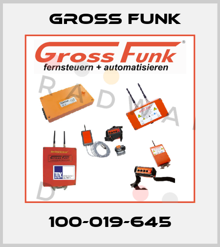 100-019-645 Gross Funk