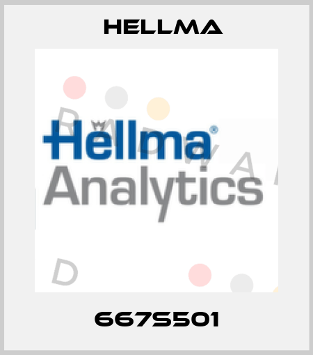 667S501 Hellma