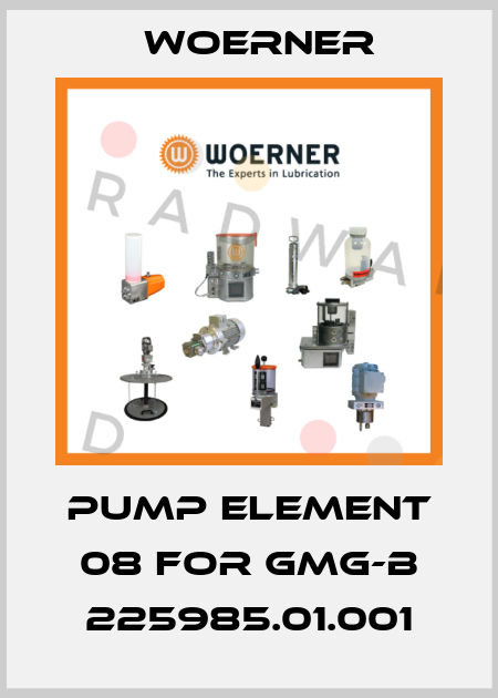 pump element 08 for GMG-B 225985.01.001 Woerner