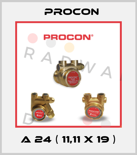 A 24 ( 11,11 x 19 ) Procon
