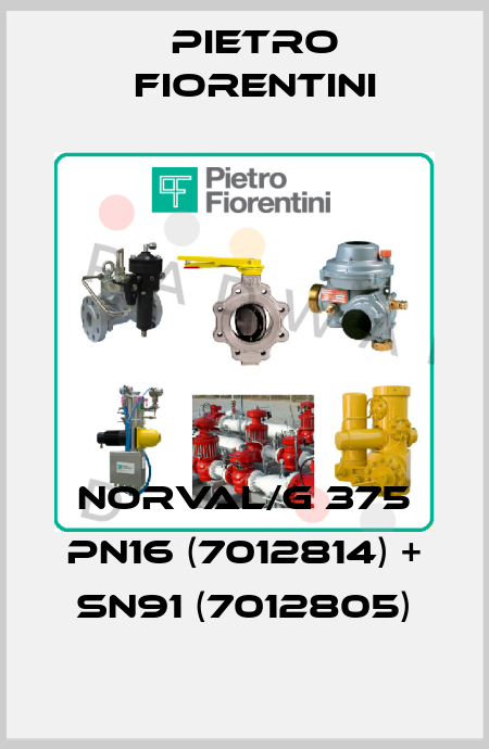 NORVAL/G 375 PN16 (7012814) + SN91 (7012805) Pietro Fiorentini