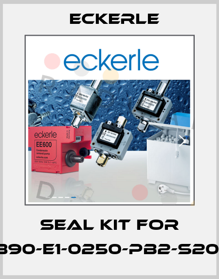 Seal Kit for 890-E1-0250-PB2-S201 Eckerle