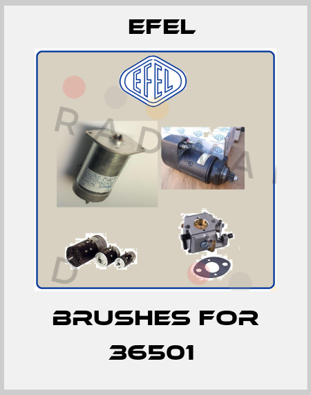 brushes for 36501  Efel