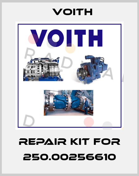 repair kit for 250.00256610 Voith