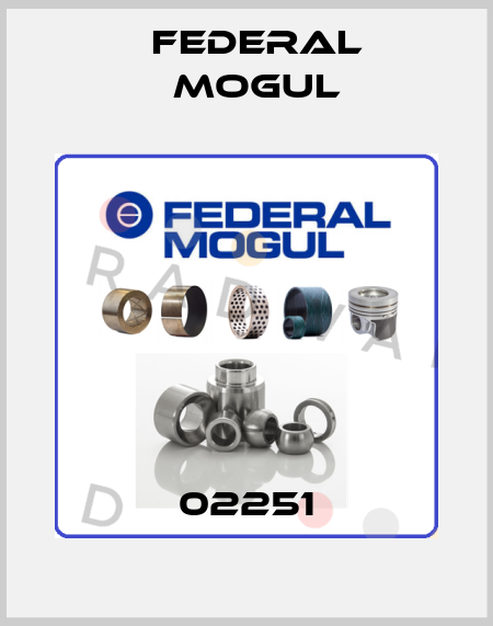 02251 Federal Mogul
