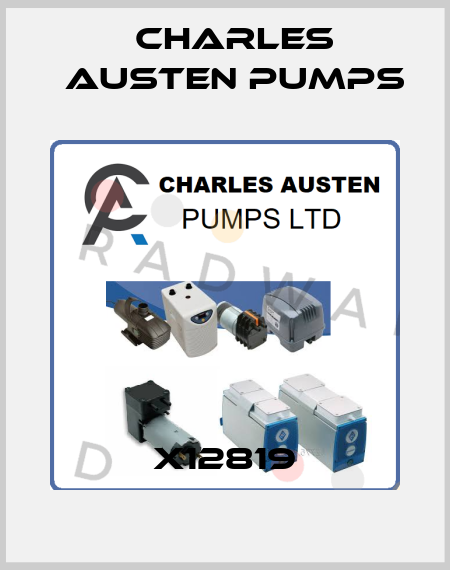 X12819 Charles Austen Pumps