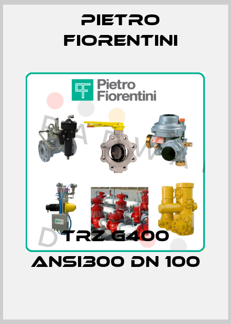 TRZ G400 ANSI300 DN 100 Pietro Fiorentini