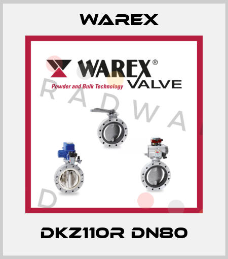 DKZ110R DN80 Warex