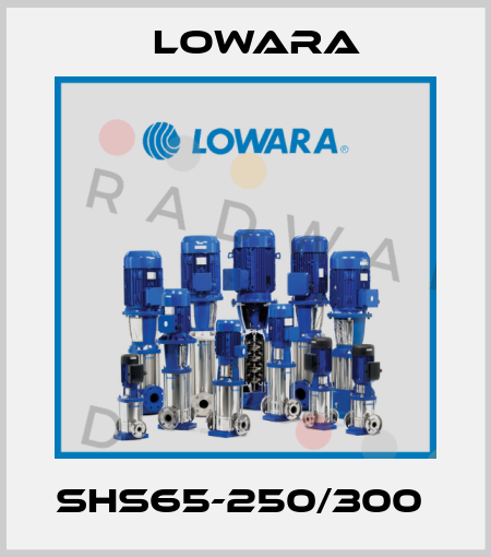 SHS65-250/300  Lowara
