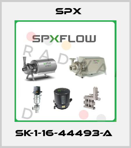 SK-1-16-44493-A  Spx