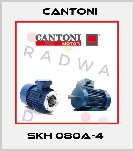 SKH 080A-4  Cantoni