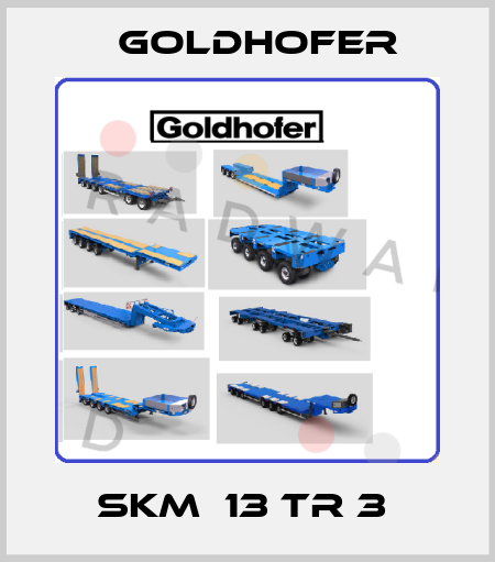 SKM  13 TR 3  Goldhofer