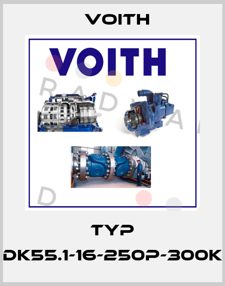 TYP DK55.1-16-250P-300K Voith