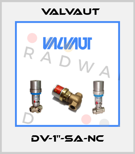 DV-1"-SA-NC Valvaut