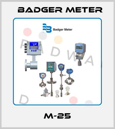 M-25 Badger Meter