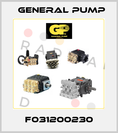 F031200230 General Pump