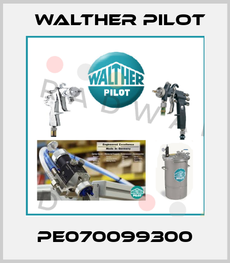 PE070099300 Walther Pilot